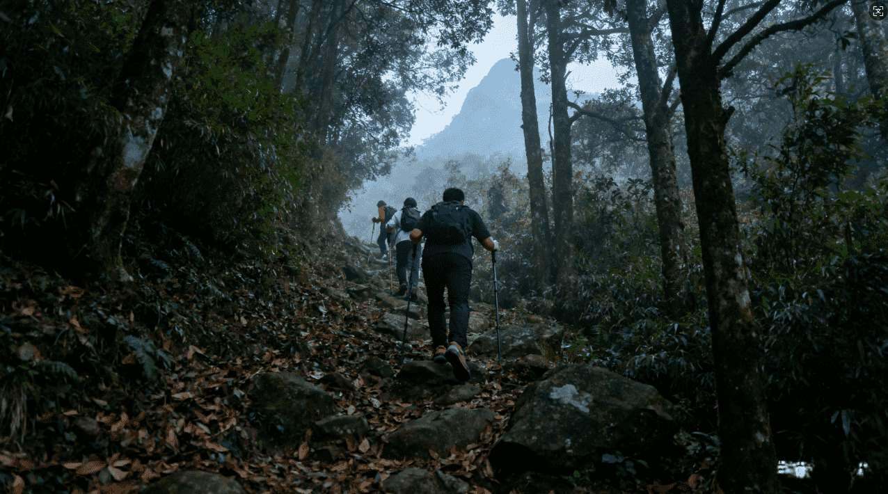 旋风加速器显示配置指南详解与优化技巧解析